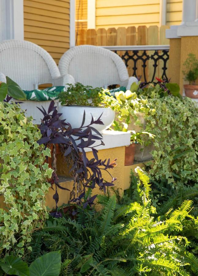 Auld Sweet Olive Bed And Breakfast New Orleans Exterior photo
