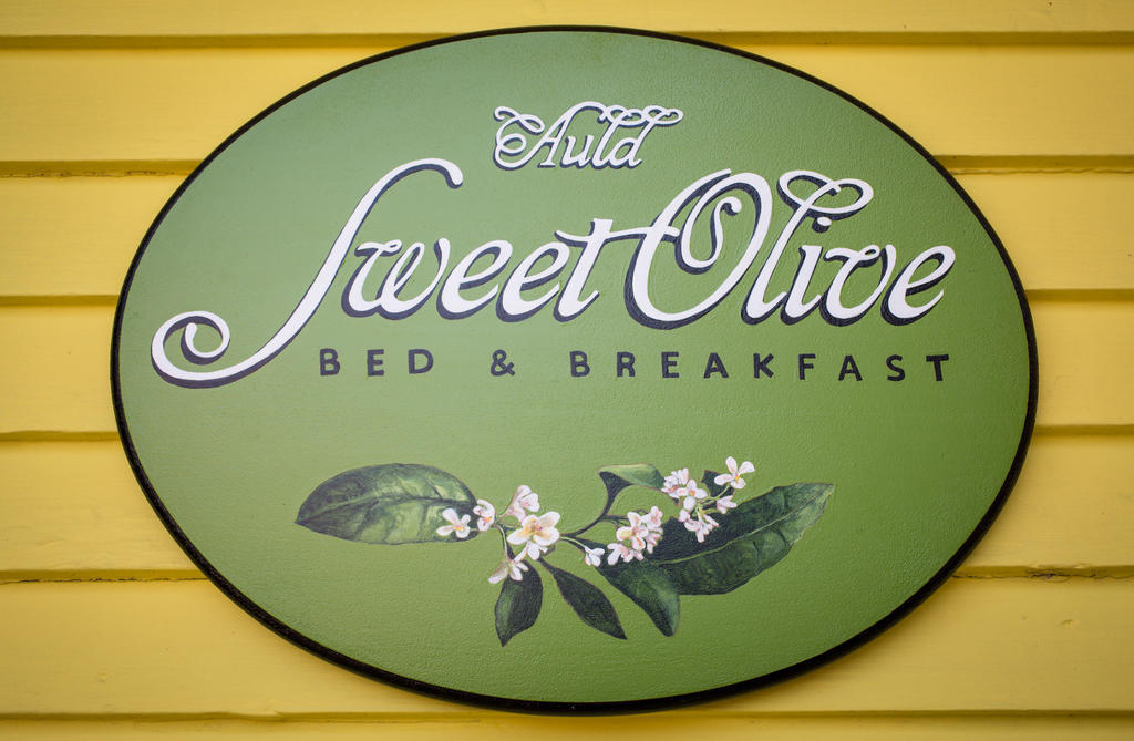 Auld Sweet Olive Bed And Breakfast New Orleans Exterior photo
